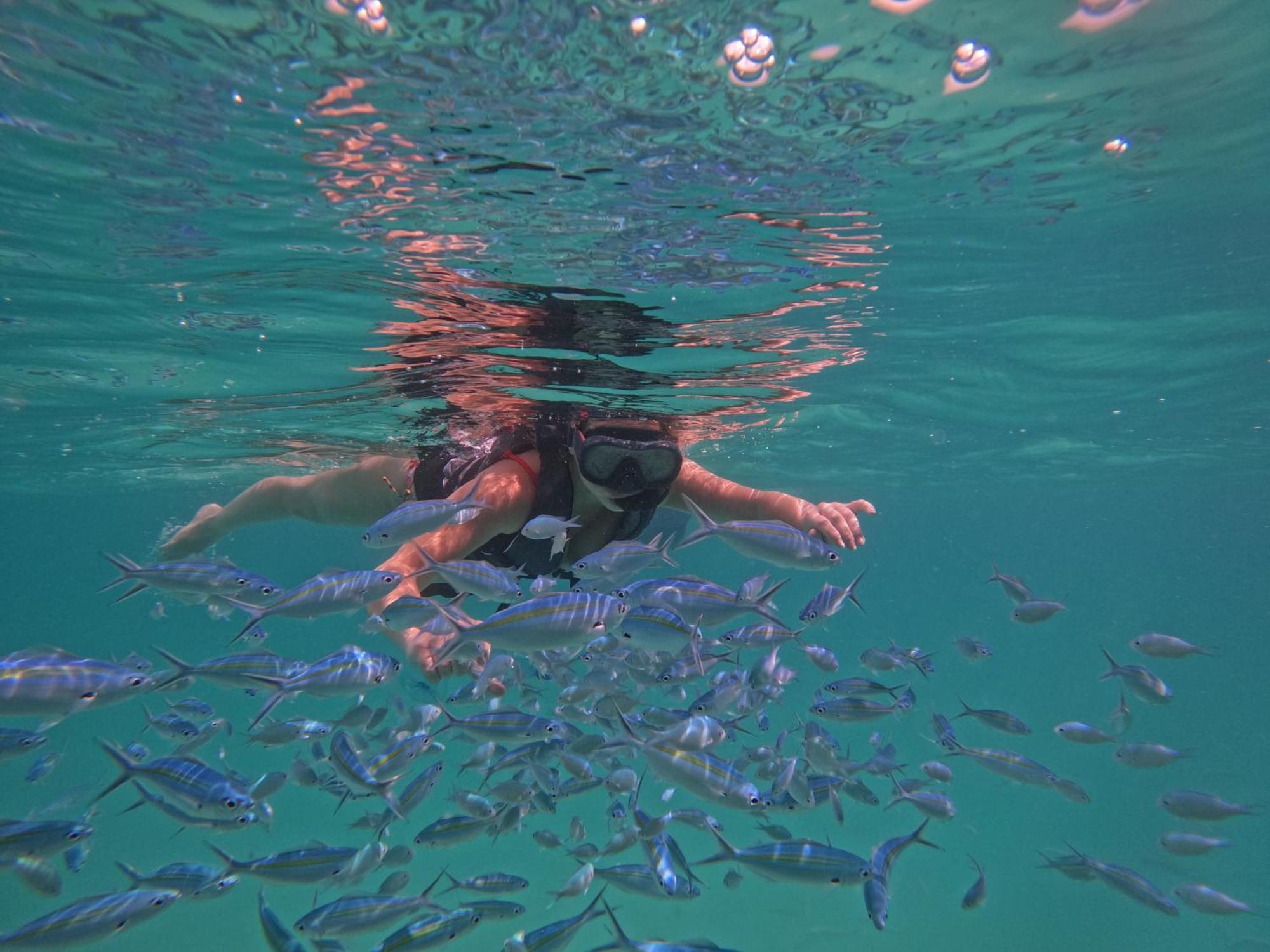 Blue Water Thoddoo Inn חדר תמונה
